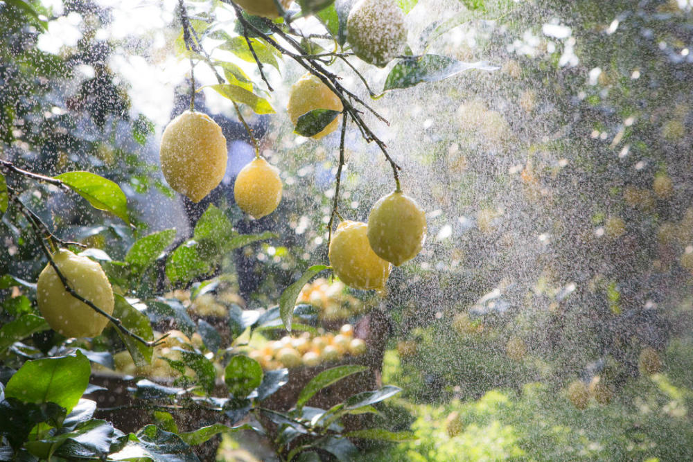 创建天府旅游名县 资阳首先"突围"的为什么是安岳