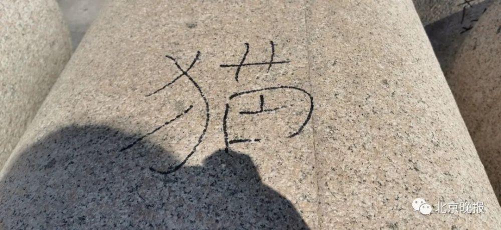 奥森公园|奥森南园雕塑被涂鸦，谁干的？