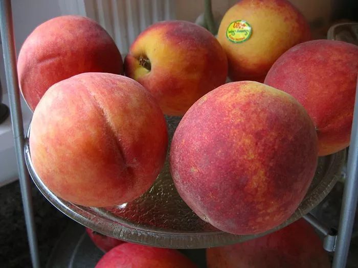 香蕉|20张图告诉你野生植物和养殖后的差别