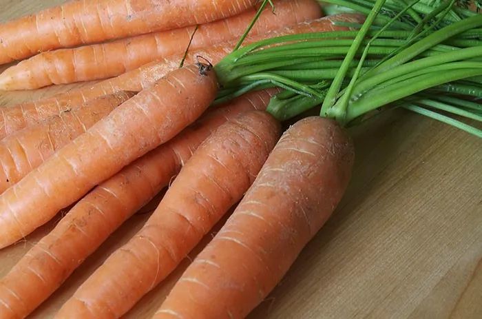 香蕉|20张图告诉你野生植物和养殖后的差别