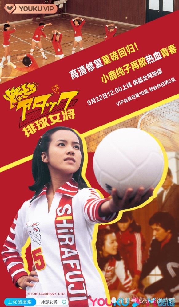 爷青回日本经典电视剧排球女将高清修复版922优酷回归