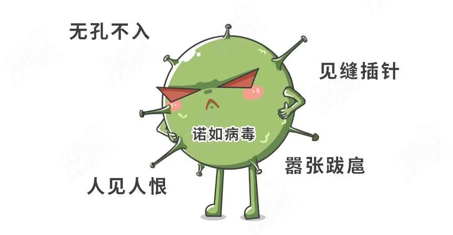 腹泻病|比轮状病毒更“毒”的腹泻病来了！没疫苗！没特效药！4招预防