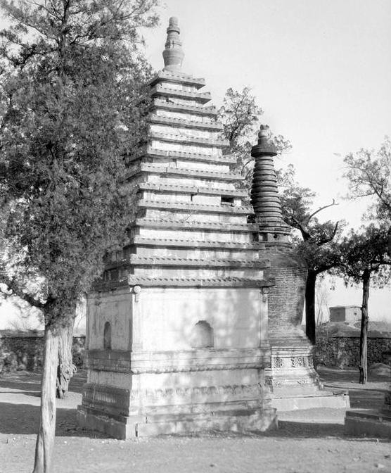 北京|芳草地曾有万株松柏，被称为“黑松林”