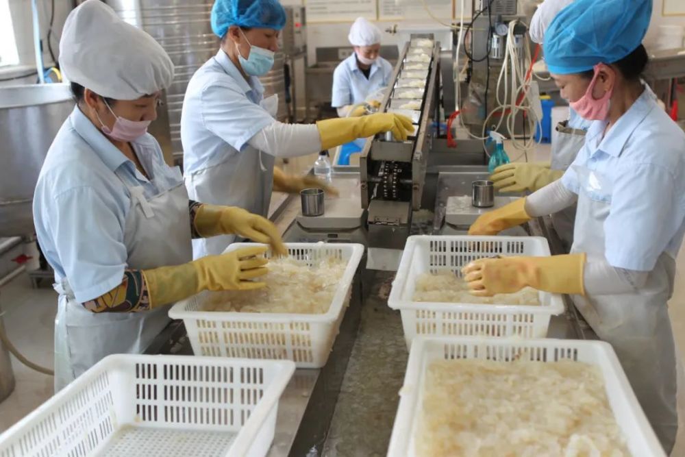 星海食品:品质海蜇,鲜亮世界!