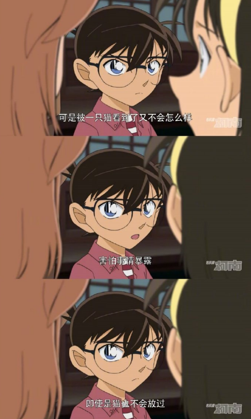 编不出来了柯南动画又出神剧情目击证人变目击证猫