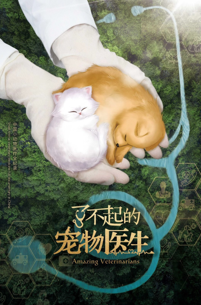 了不起的宠物医生用一生去治愈你爱的它
