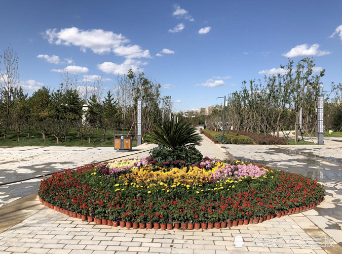 赏菊,就来太原市东篱公园