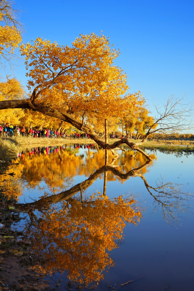 天南海北,你想看的风景这里全都有