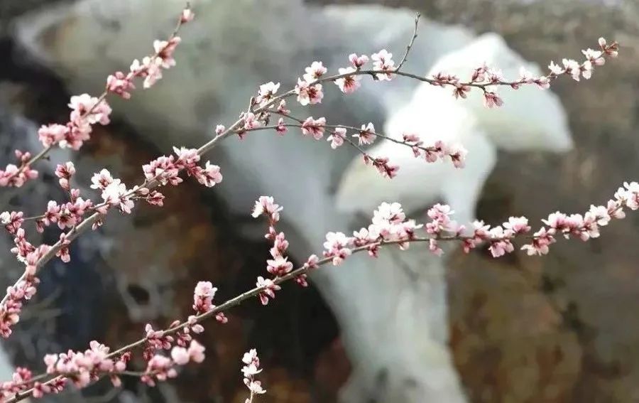 神泉峡|好羡慕！门头沟这个村上电视了！