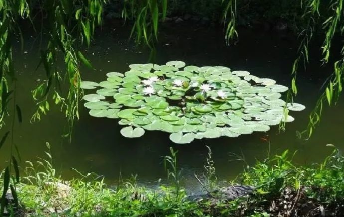 神泉峡|好羡慕！门头沟这个村上电视了！