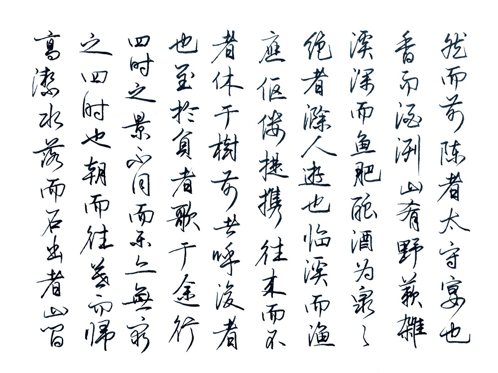 欧阳修《醉翁亭记》美工钢笔字,硬笔书法,唯美行书置身其中