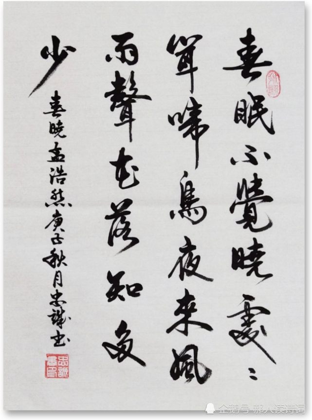 书写经典第6期唐孟浩然春晓
