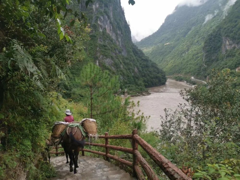 抵达丙中洛后,再走上一小段贴着怒江悬崖边窄窄的茶马古道,进入村落的