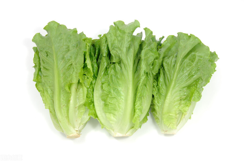 蚝油生菜最好吃的做法,不蒸不炒,清脆爽口,色泽鲜亮给肉都不换