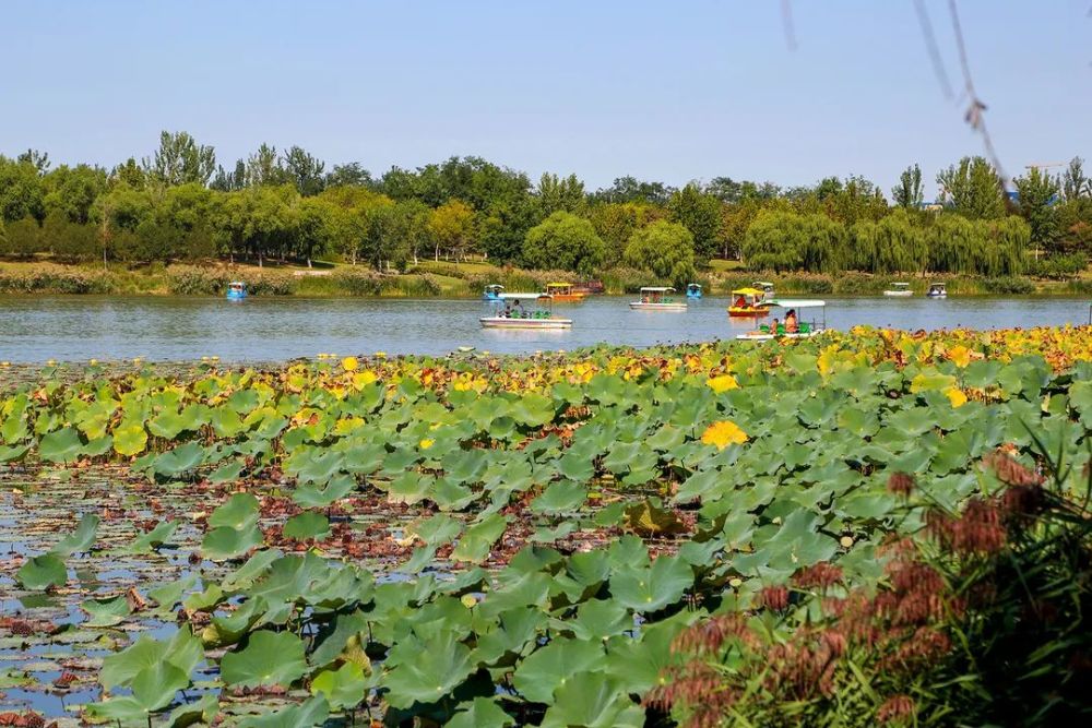 南海子升級為市級溼地公園