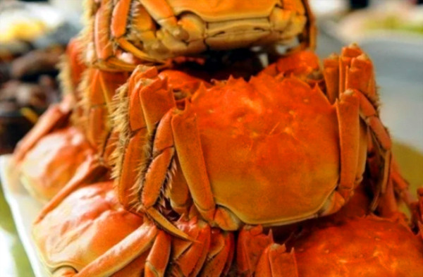 阳澄湖大闸蟹 张牙舞爪上餐桌