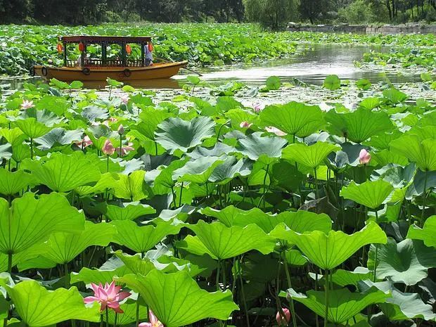 对联|六字哲理对联，修身齐家经典！