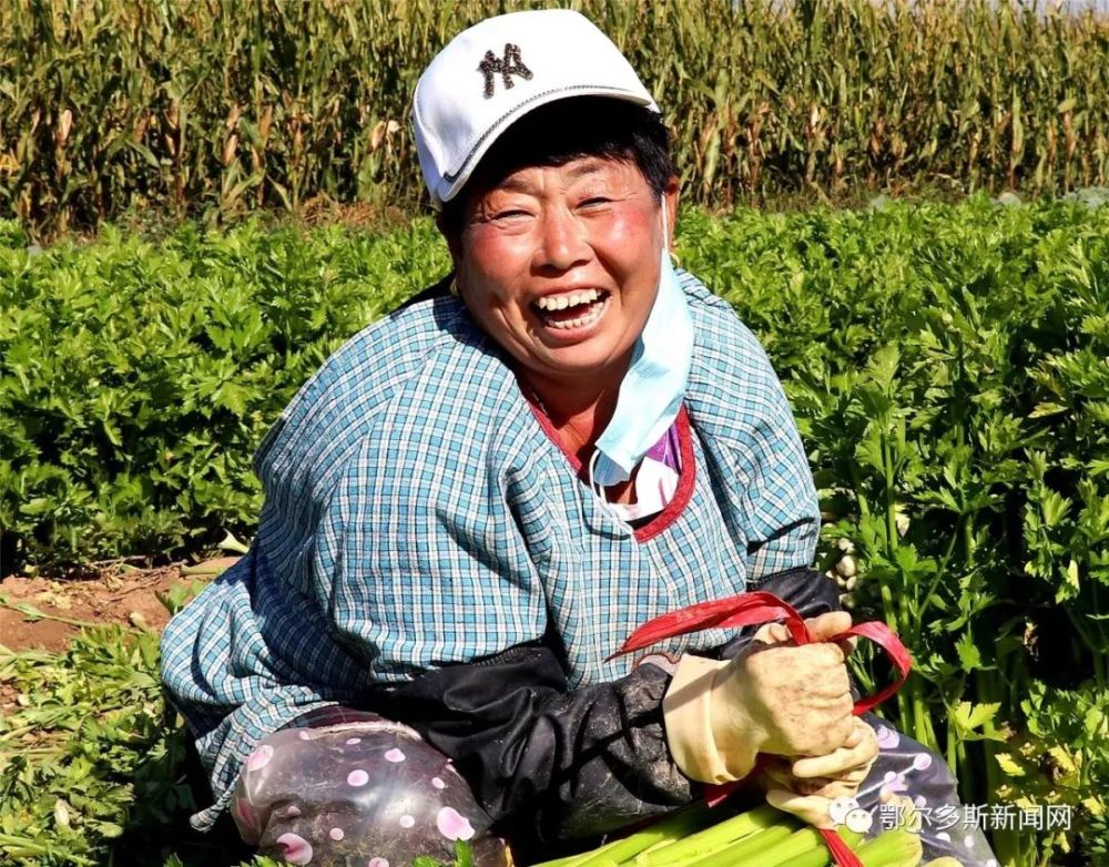 鄂尔多斯让丰收的喜悦写满每一张笑脸