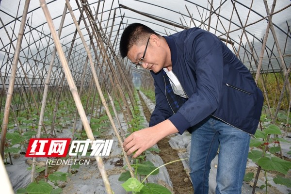 李昌瑞当好新农民要有股傻劲