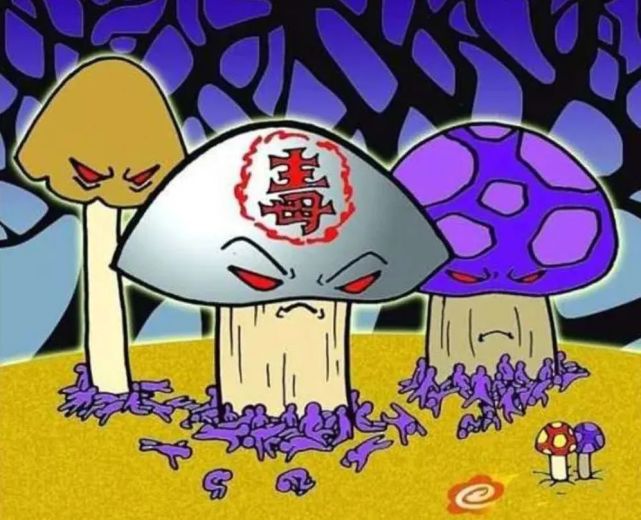 建瓯市立医院一天接诊7名中毒患者郑重提醒千万不食野蘑菇