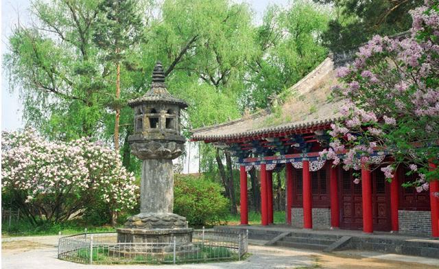 王勃|自能成羽翼，何必仰云梯？王勃这首诗体现了一种自信