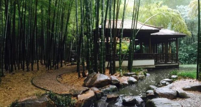 王勃|自能成羽翼，何必仰云梯？王勃这首诗体现了一种自信