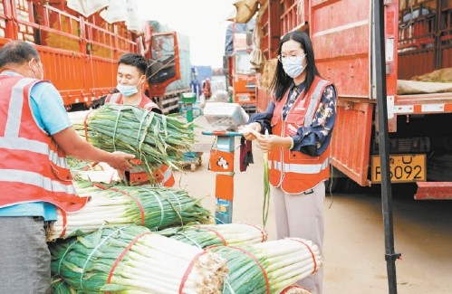 新发地|新发地托稳首都“菜篮子”，供应量稳定在过去六至七成