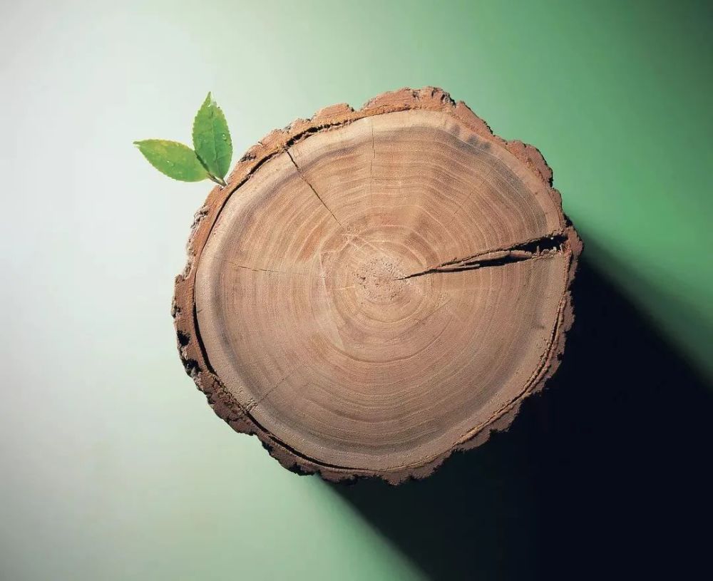 春秋|为什么秋天容易“愁”，答案就在“秋分”里