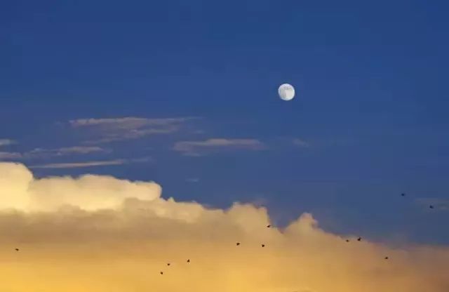 节气|诗说节气，古诗词中的“秋分”