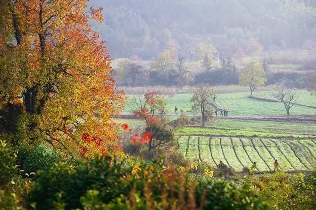 节气|诗说节气，古诗词中的“秋分”