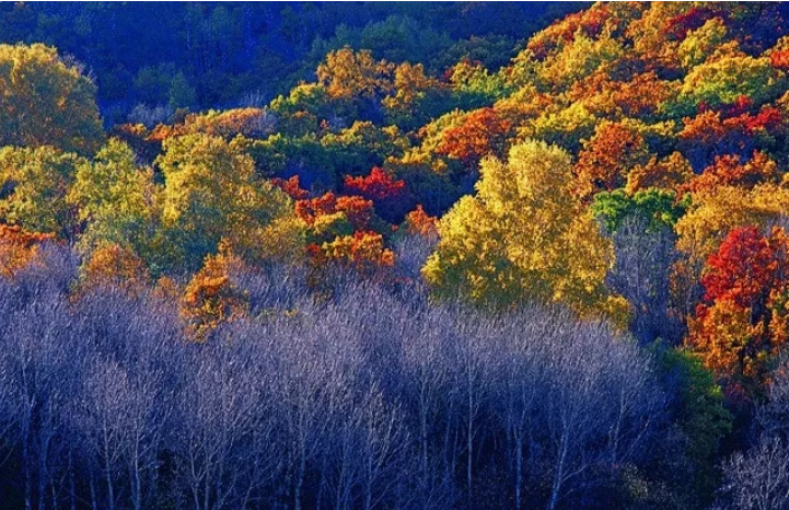节气|诗说节气，古诗词中的“秋分”