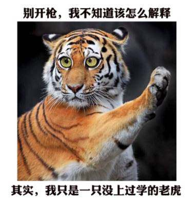 北京野生动物园|女孩野生动物园坐车顶观光，游客：这是来给老虎“送外卖”的？