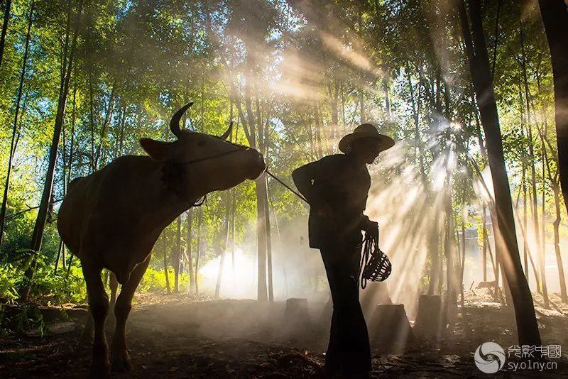 颐和园|光影中国9月22日图片精选
