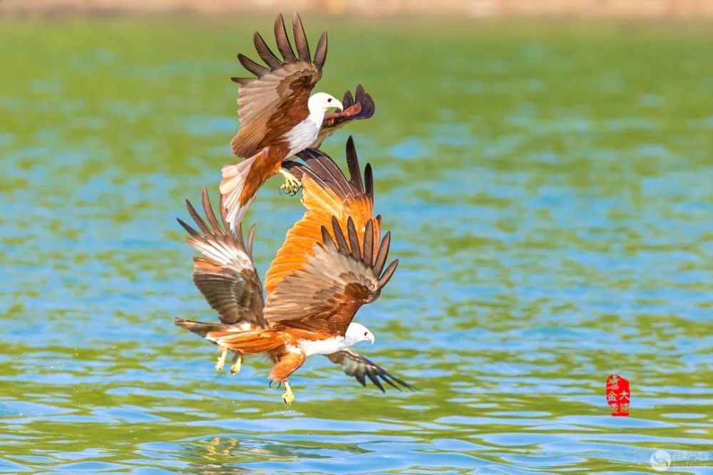 颐和园|光影中国9月22日图片精选