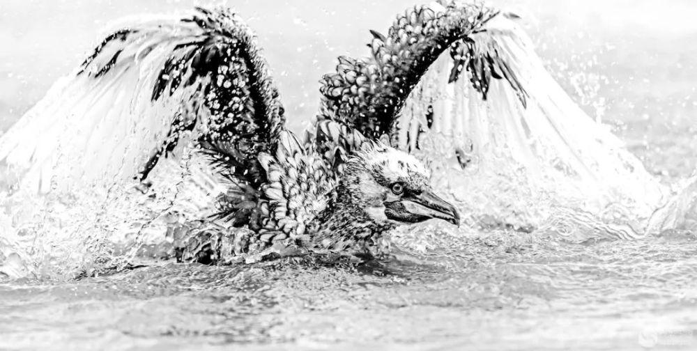 颐和园|光影中国9月22日图片精选