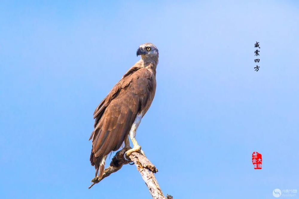 颐和园|光影中国9月22日图片精选