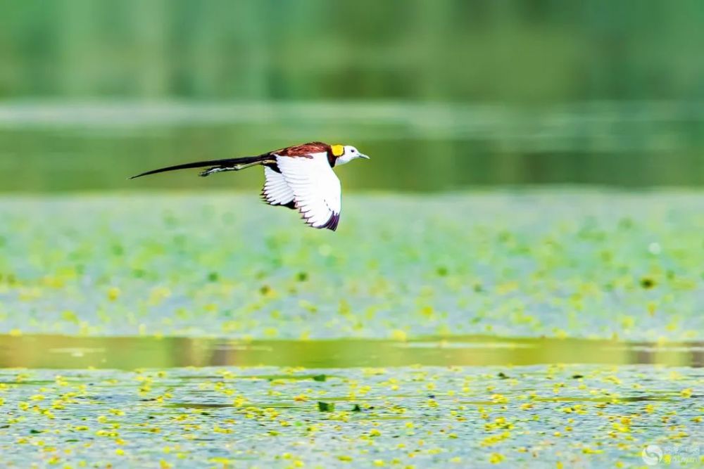 颐和园|光影中国9月22日图片精选