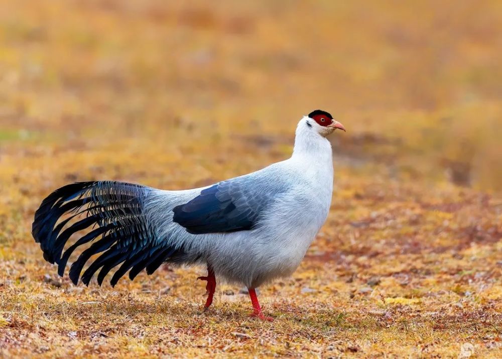 颐和园|光影中国9月22日图片精选