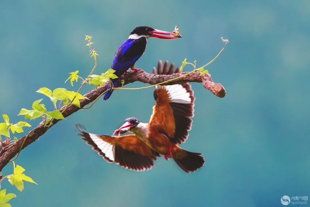 颐和园|光影中国9月22日图片精选
