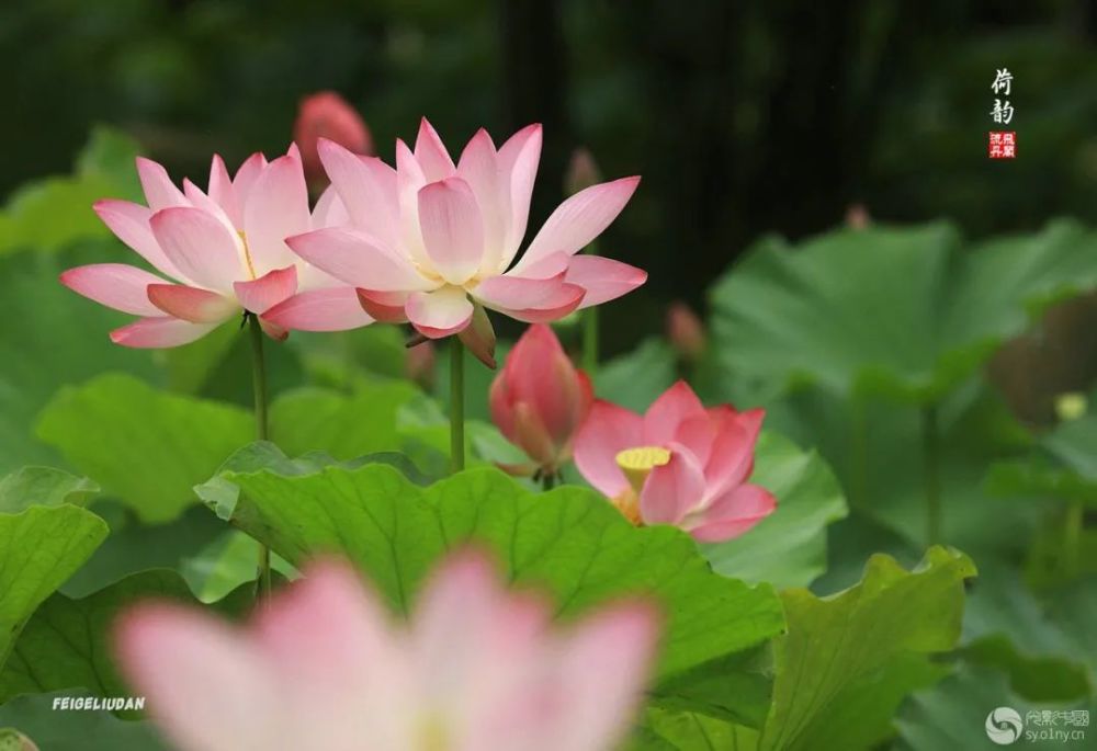 颐和园|光影中国9月22日图片精选