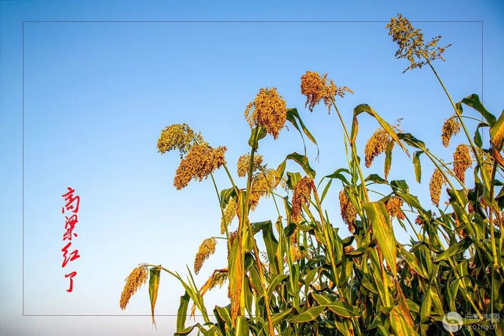 颐和园|光影中国9月22日图片精选