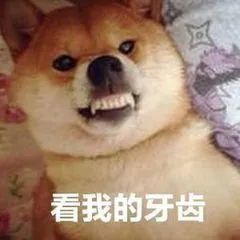 牙齿|鸟为啥没有牙？它们的蛋为啥不是正球形？