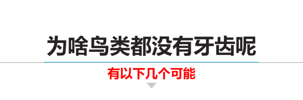 牙齿|鸟为啥没有牙？它们的蛋为啥不是正球形？