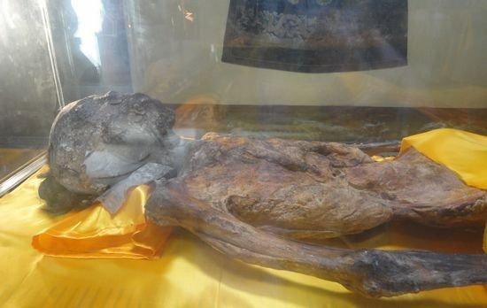 清朝龙袍干尸展出类似林正英片的僵尸