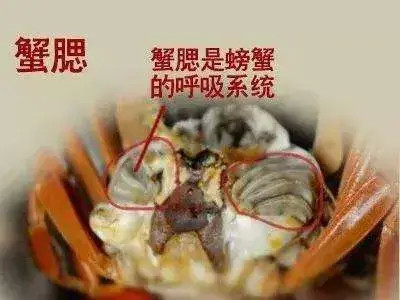 一家三口吃醉蟹感染肺吸虫病吃螃蟹要注意这些