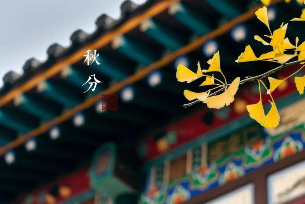 二十四节气|今日秋分，农村俗语：“秋分下雨万人愁”，秋分下雨不好吗？