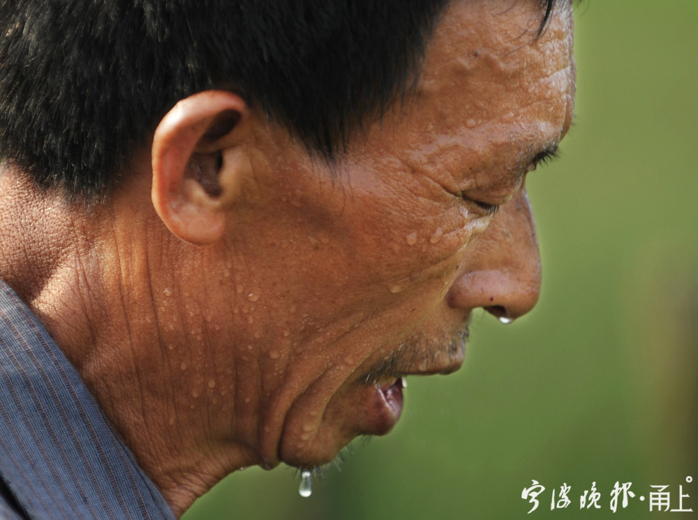这组照片献给默默耕耘的农民朋友!_腾讯新闻