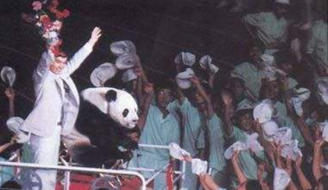 亚运会|北京亚运会30周年！亚洲雄风和盼盼永存回忆，一个时代的烙印