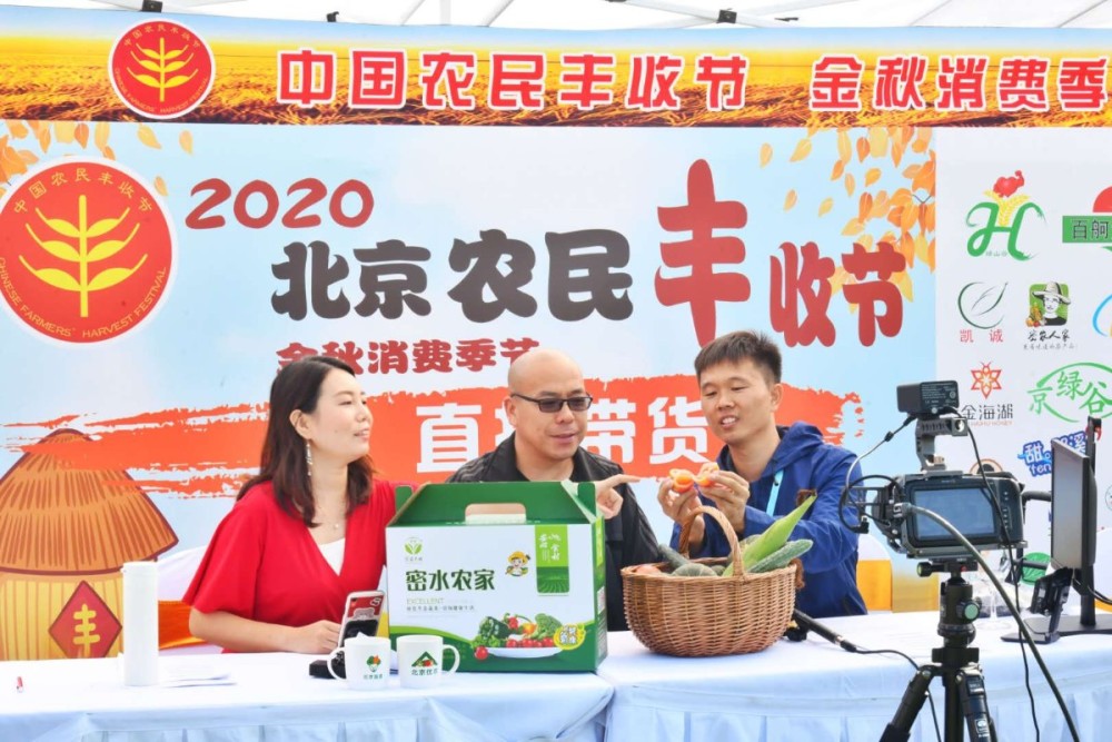 密云区|房山秋收节、昌平苹果文化节……60余场活动迎“农民丰收节”