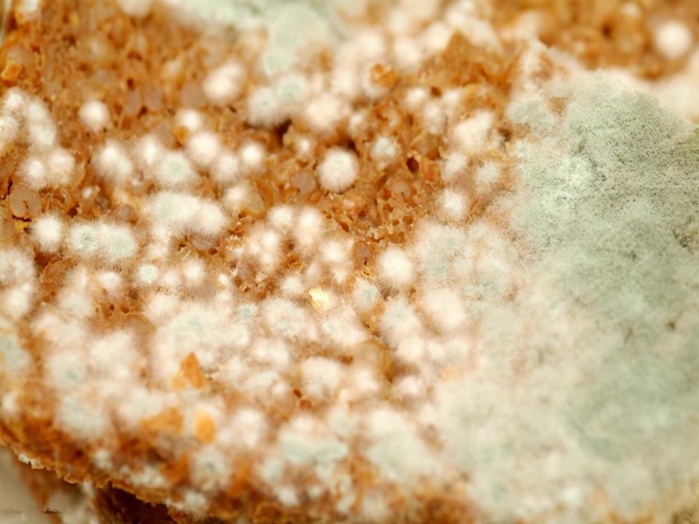 吃出个肝癌一种食物最好别吃开水煮不死还滋养癌细胞